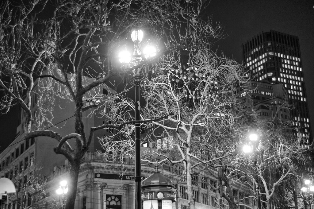Sunny Side Of Town：San Fran Memories 8