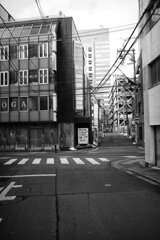 On The Sunny Side Of Town (Jan.27, 2024)