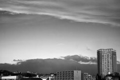 On The Sunny Side Of Town (Feb.2, 2024)