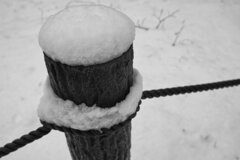 On The Sunny Side Of Town (Jan.16, 2024)