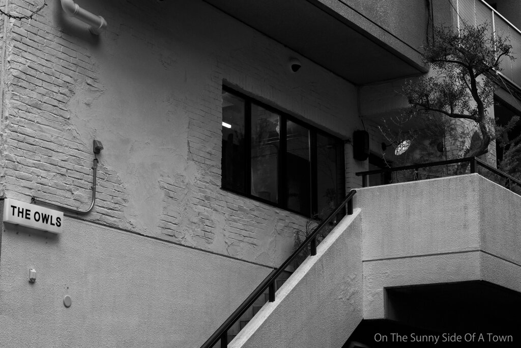 On The Sunny Side Of Town (Dec.17, 2023)