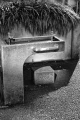 On The Sunny Side Of Town (Jan.2, 2024)