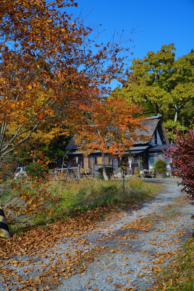 大沢田2