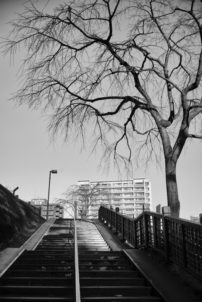 On The Sunny Side Of Town (Jan.17, 2024)