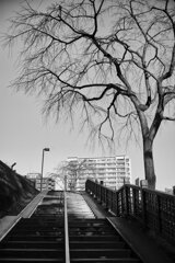 On The Sunny Side Of Town (Jan.17, 2024)