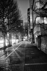 On The Sunny Side Of Town (Jan.9, 2024)