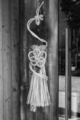 On The Sunny Side Of Town (Jan.1, 2024)