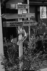 On The Sunny Side Of Town (Jan.1, 2024)