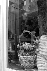 On The Sunny Side Of Town (Jan.8, 2024)