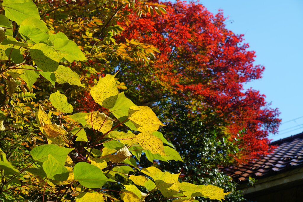 Sunny Side Of A Town: West Park