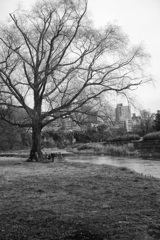 On The Sunny Side Of Town (Dec.24, 2023)