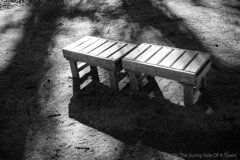 On The Sunny Side Of Town (Dec.18, 2023)