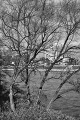 On The Sunny Side Of Town (Jan.19, 2024)