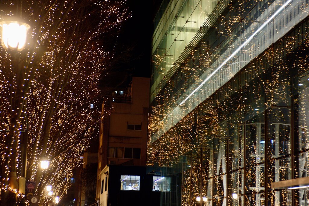 The Sendai Pageant of Starlight