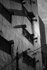 On The Sunny Side Of Town (Jan.2, 2024)