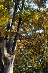 Sunny Side Of A Town: West Park