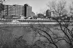 On The Sunny Side Of Town (Jan.19, 2024)