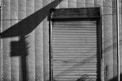 On The Sunny Side Of Town (Jan.15, 2024)