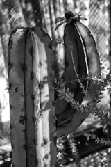 On The Sunny Side Of Town (Jan.28, 2024)