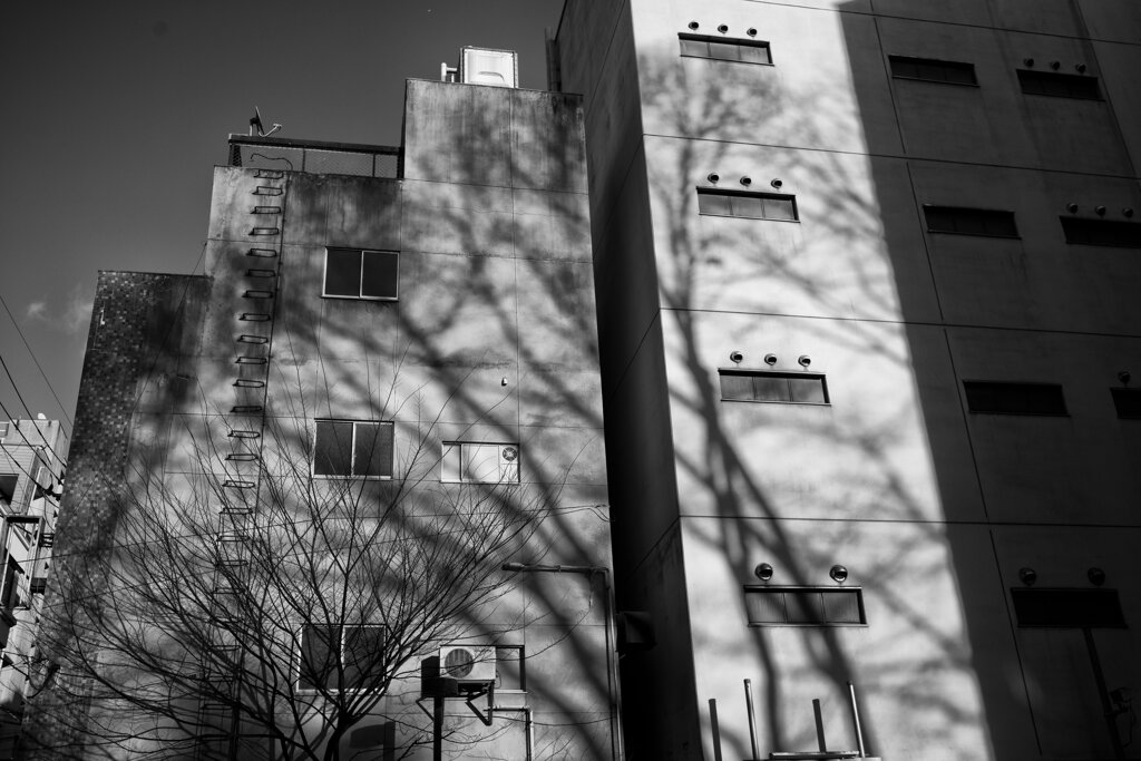 On The Sunny Side Of Town (Dec.23, 2023)