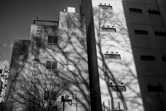 On The Sunny Side Of Town (Dec.23, 2023)