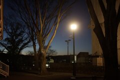 On The Sunny Side Of Town (Jan.11, 2024)