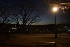 On The Sunny Side Of Town (Jan.11, 2024)