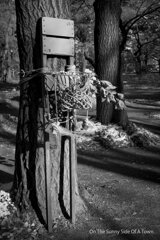 On The Sunny Side Of Town (Dec.18, 2023)