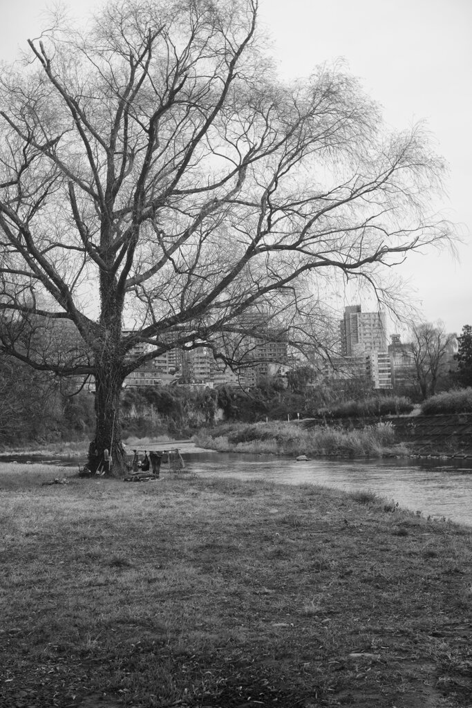 On The Sunny Side Of Town (Dec.24, 2023)