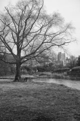 On The Sunny Side Of Town (Dec.24, 2023)