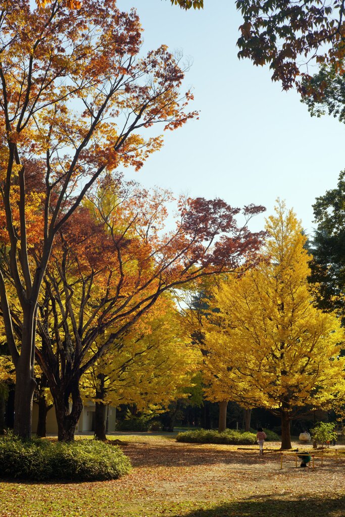 Sunny Side Of A Town: West Park