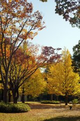 Sunny Side Of A Town: West Park