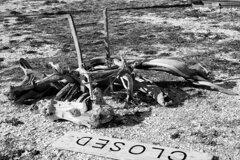 宮城県奥松島室浜(Jan.20,2024)