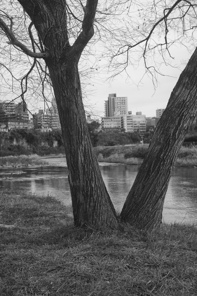 On The Sunny Side Of Town (Dec.24, 2023)