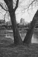 On The Sunny Side Of Town (Dec.24, 2023)