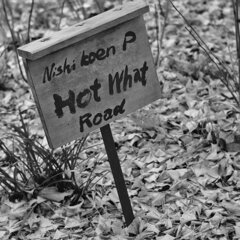 On The Sunny Side Of Town (Dec.22, 2023)