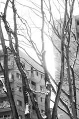 On The Sunny Side Of Town (Jan.16, 2024)