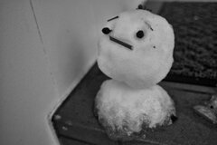 On The Sunny Side Of Town (Jan.26, 2024)