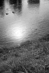 On The Sunny Side Of Town (Dec.24, 2023)