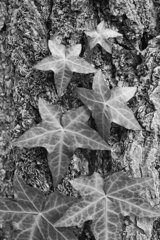 On The Sunny Side Of Town (Dec.31, 2023)