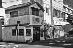 On The Sunny Side Of Town (Jan.15, 2024)