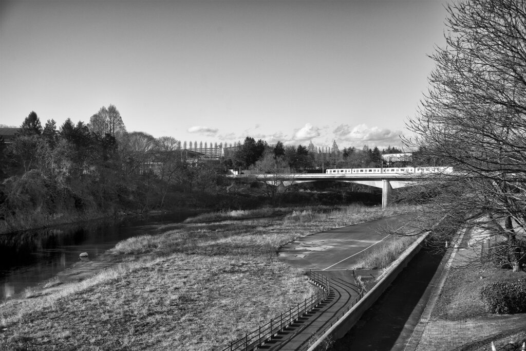 On The Sunny Side Of Town (Jan.17, 2024)
