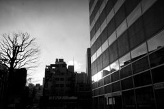 On The Sunny Side Of Town (Dec.23, 2023)