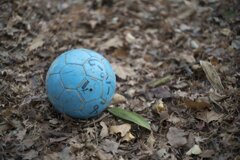 On The Sunny Side Of Town (Dec.28, 2023)