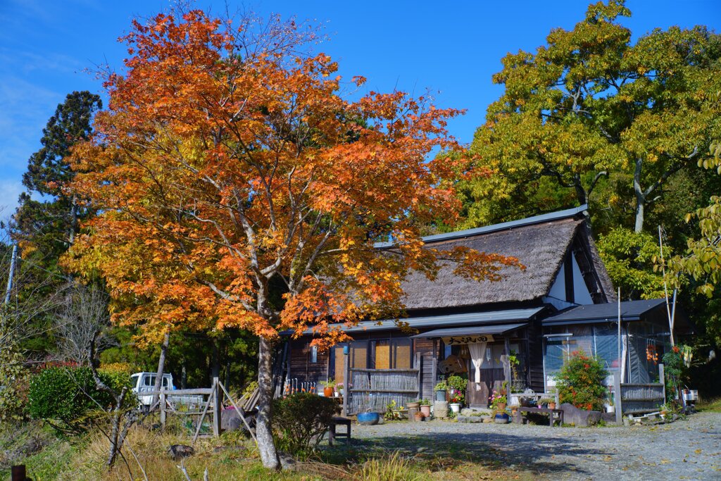 大沢田10