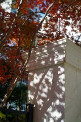 Sunny Side Of A Town: West Park