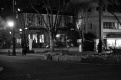 On The Sunny Side Of Town (Dec.28, 2023)