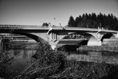 On The Sunny Side Of Town (Jan.17, 2024)