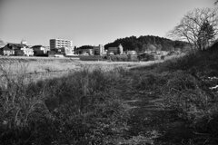 On The Sunny Side Of Town (Jan.17, 2024)