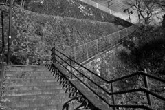 On The Sunny Side Of Town (Dec.26, 2023)